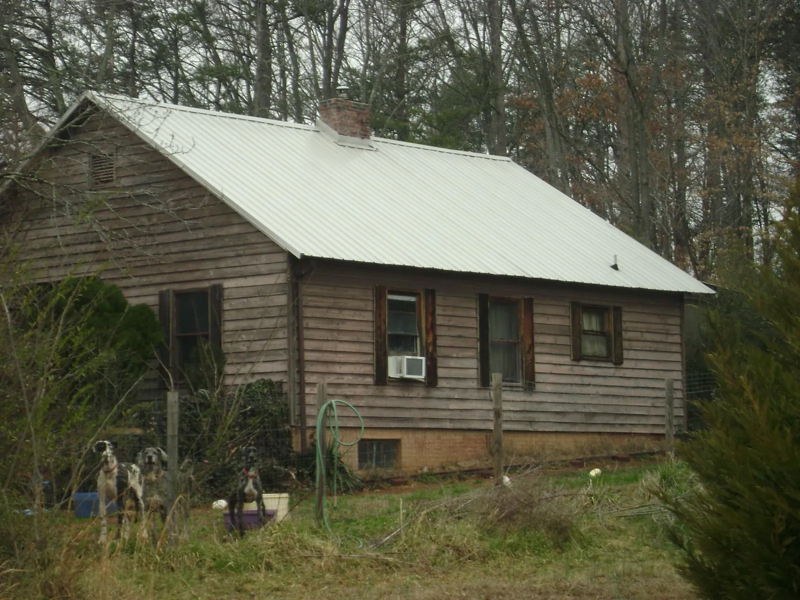 White metal roof on an old wood sided farmhouse, from a Asphalt Shingle Roof Repair job in Canisteo